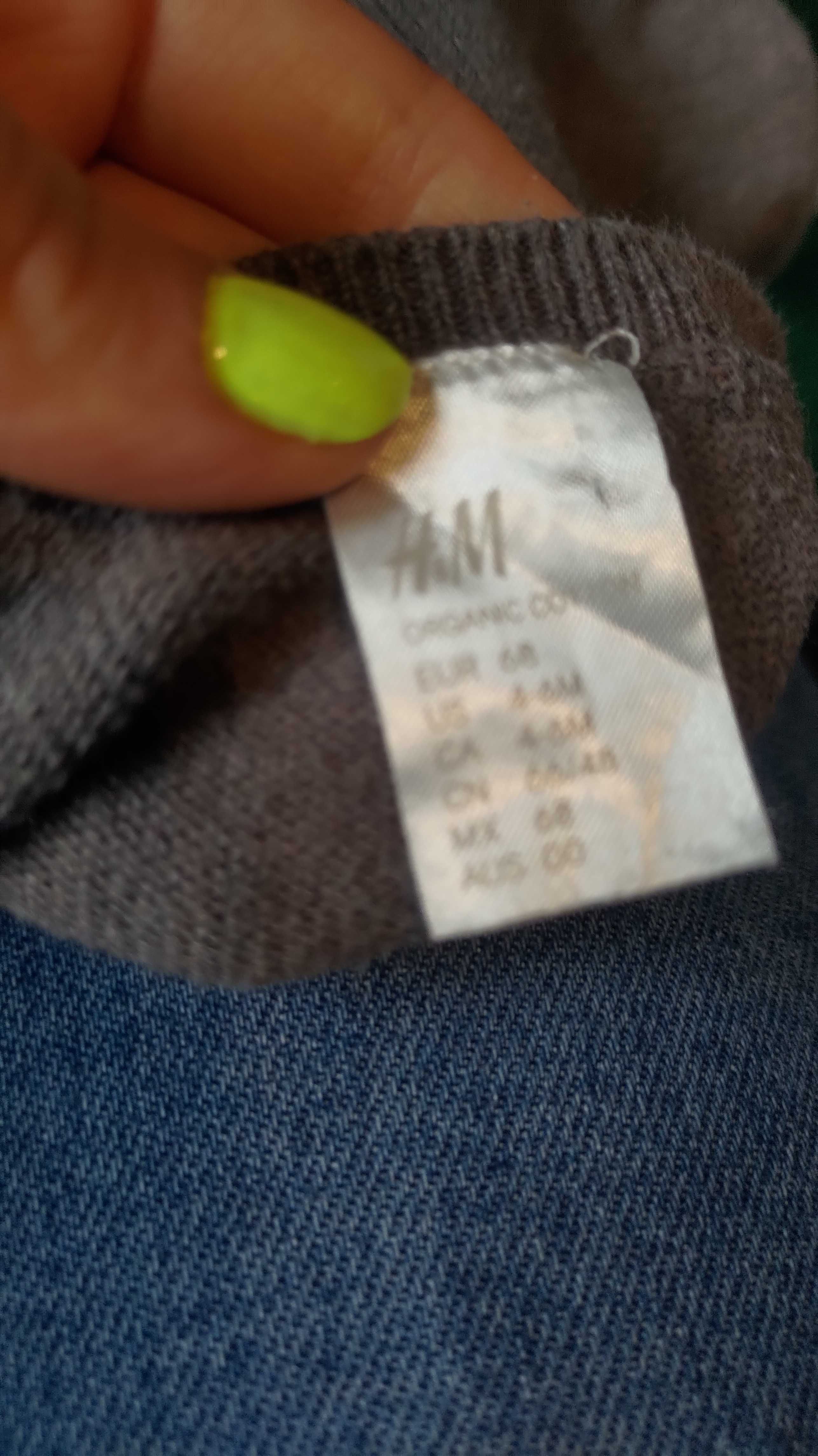 Sweter szary brązowy jeż H&M 68 wiosenny