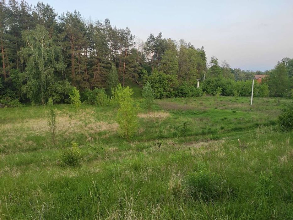 Продаж ділянки Лісники. ОСТАННІЙ З НАЙКРАЩИХ