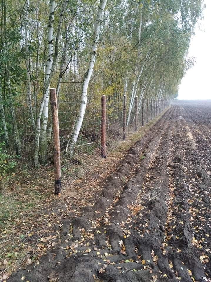 Ogrodzenie budowlane tymczasowe siatka leśna - najwyższa jakość