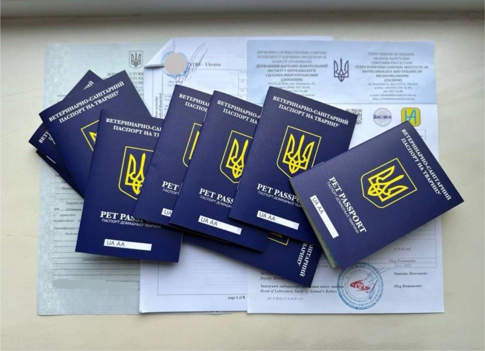 Повний пакет документів для тварин до перетину кордону‼️ СУПРОВІД 24/7