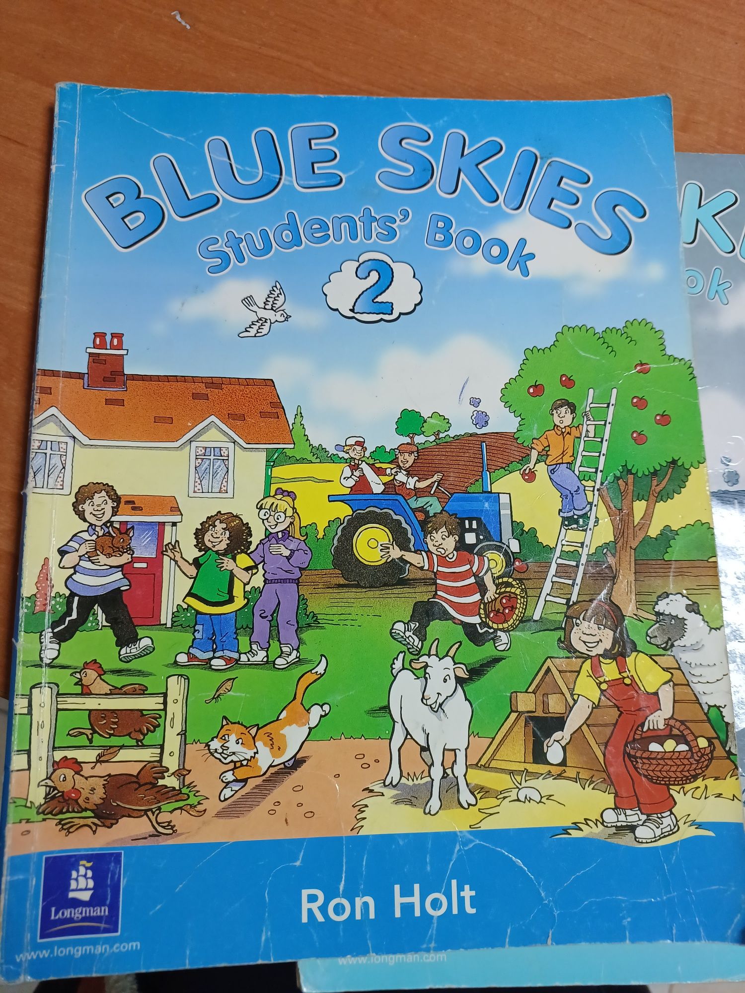 Підручник з англійської для 2го класу Blue Skies 2