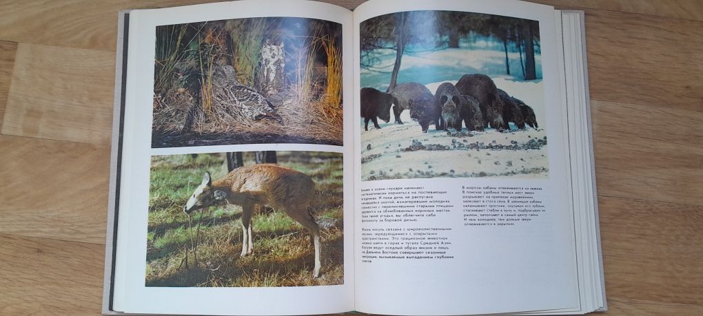 Фотоохота Мухин Артюхов 1978 посібник