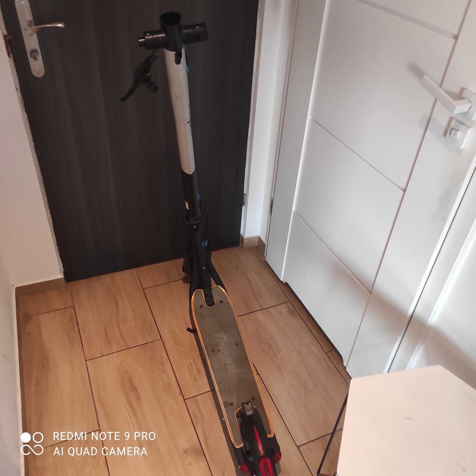 Elektro hylainoga