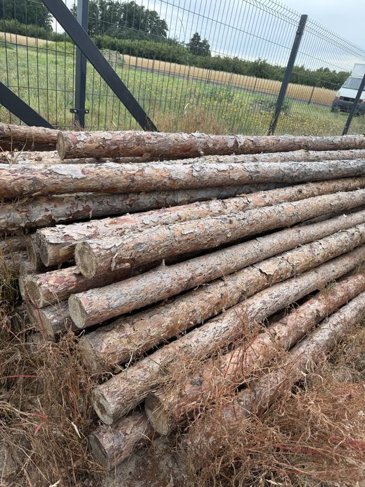 Stemple budowlane 2,95