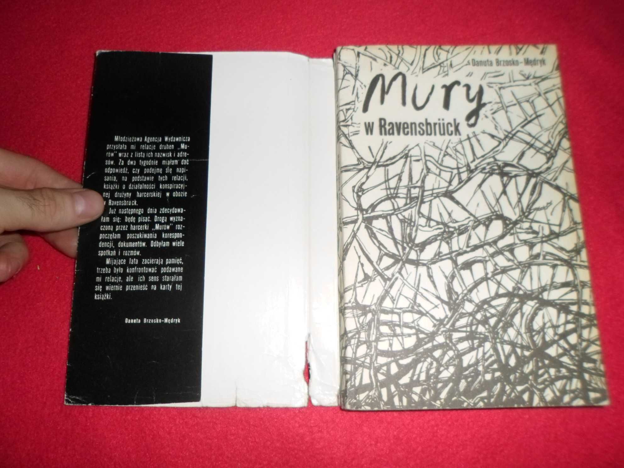 Danuta Brzosko-Mędryk - Mury w Ravensbruck