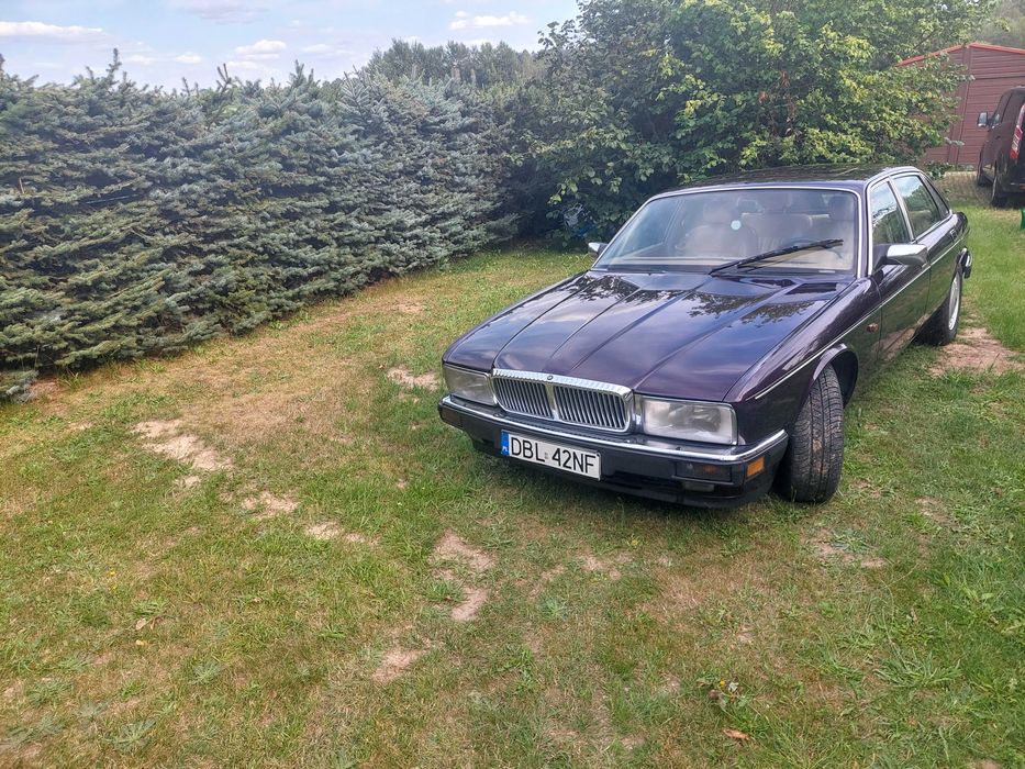 jaguar daimler XJ