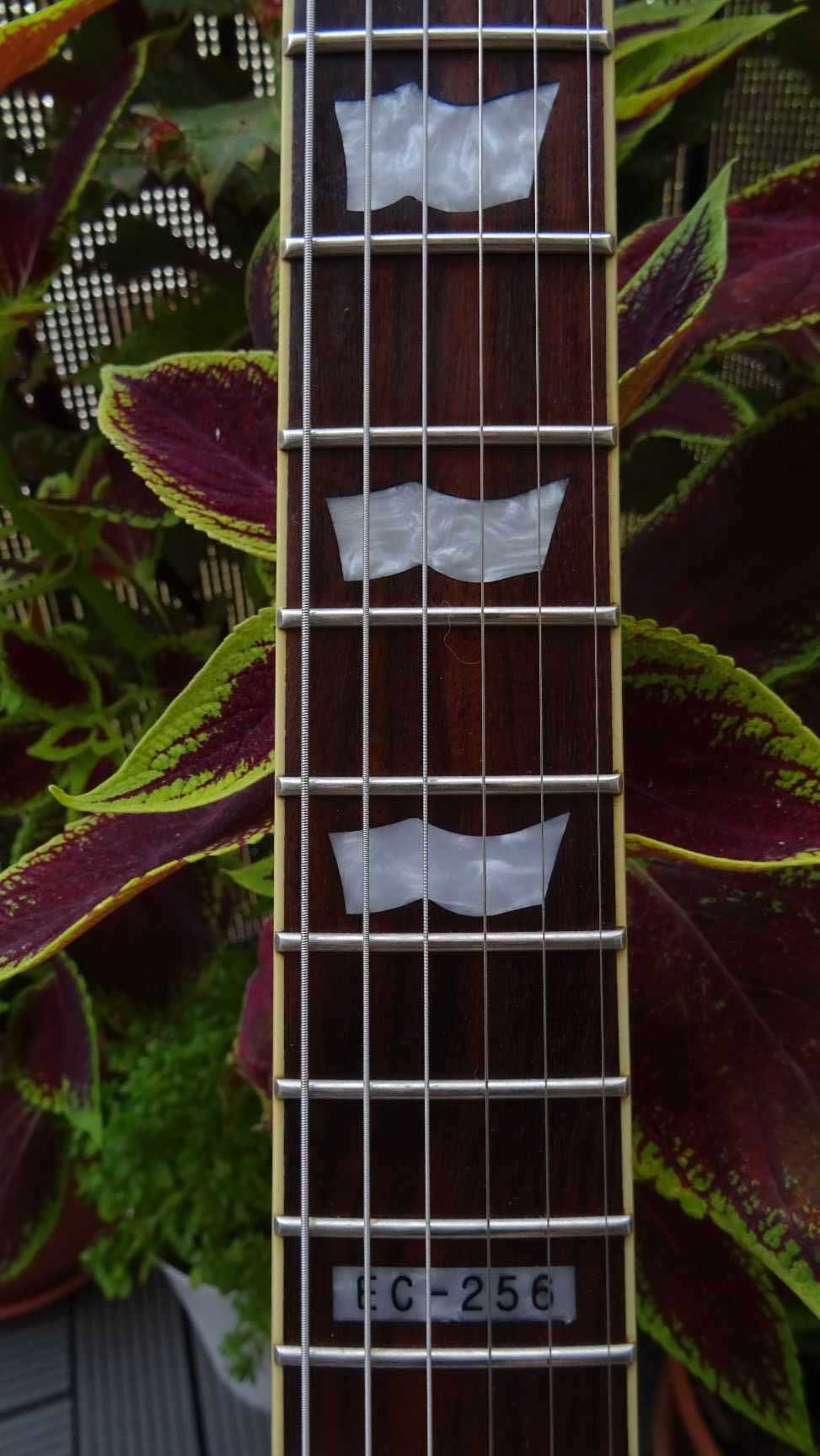 Gitara Elektryczna LTD EC-256