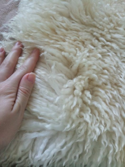 Овеча шкіра натуральна хутро овече вовна