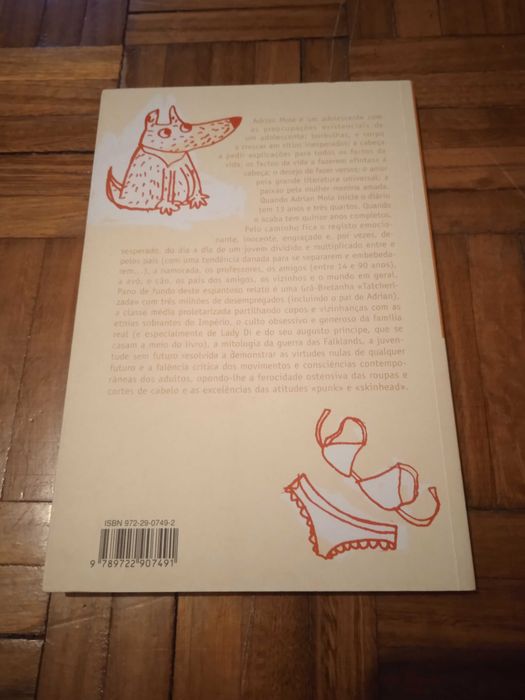 O Diário Secreto de Adrian Mole aos 13 anos e 3/4 - Sue Townsend