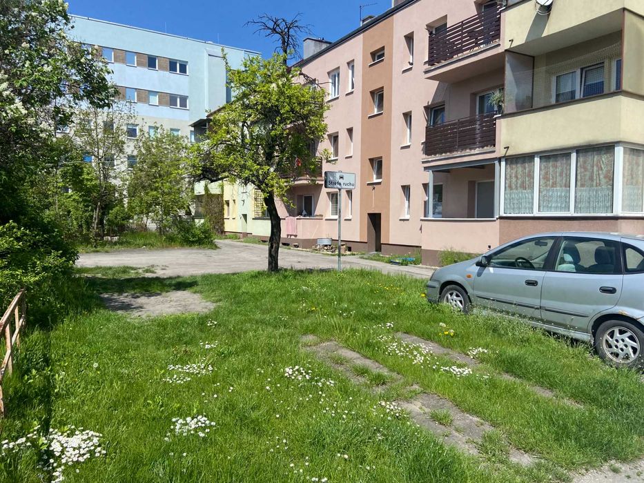 Mieszkanie do wynajęcia w centrum Opola.