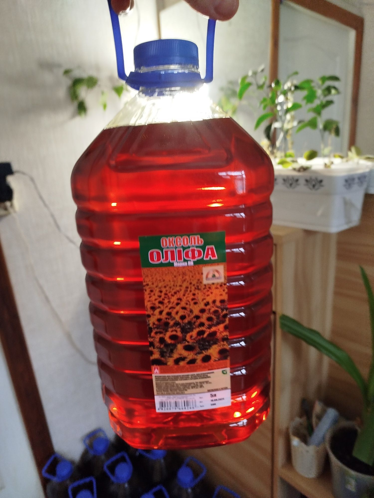 Оліфа Оксоль,олифа
