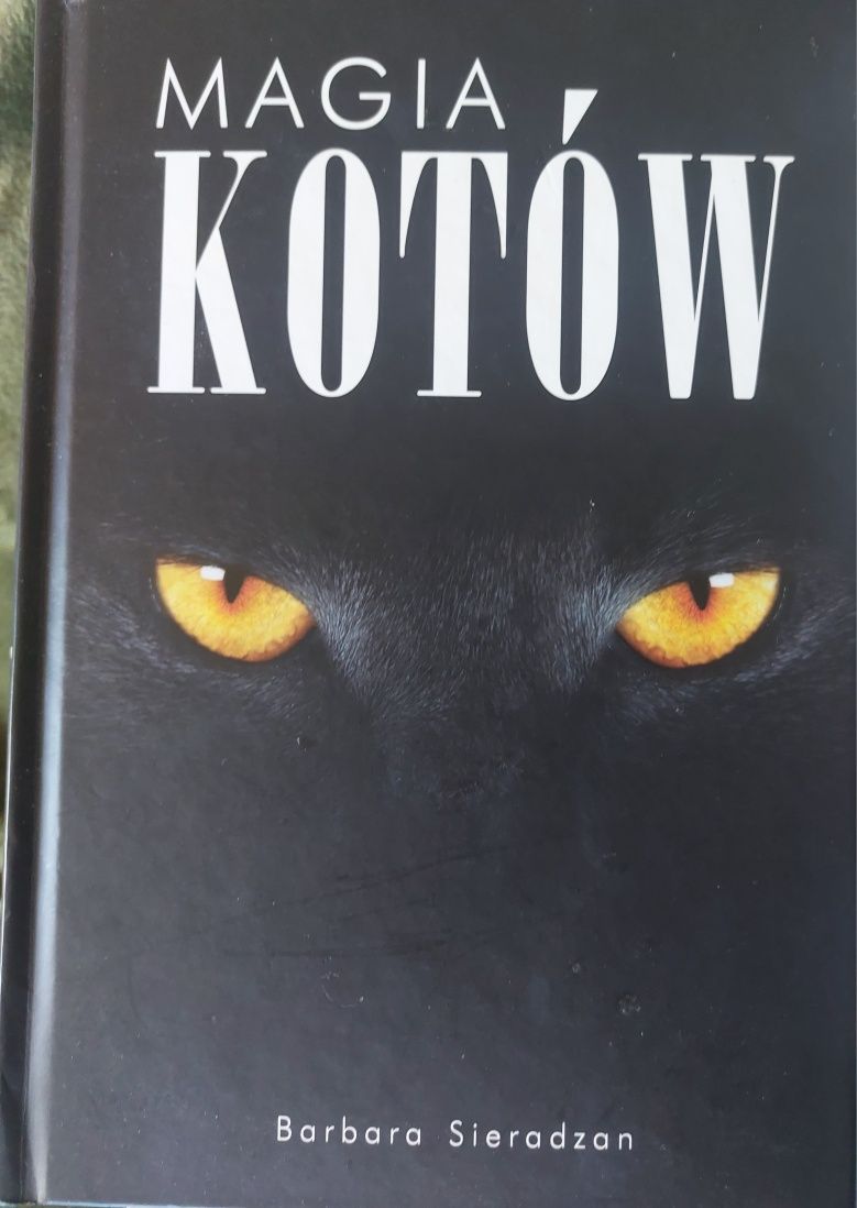 6 razy koty! Nowe, idealne!