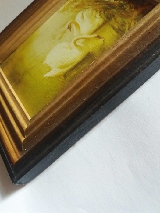 Маленька картина " Лебеді "