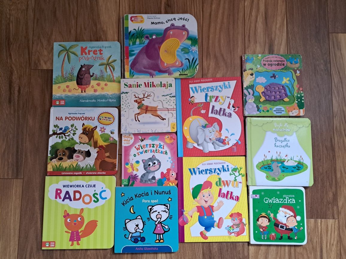 Książeczki dla dzieci 1-3 lat 12 szt