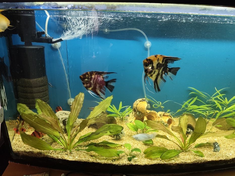 Продам аквариум на 200 лит.