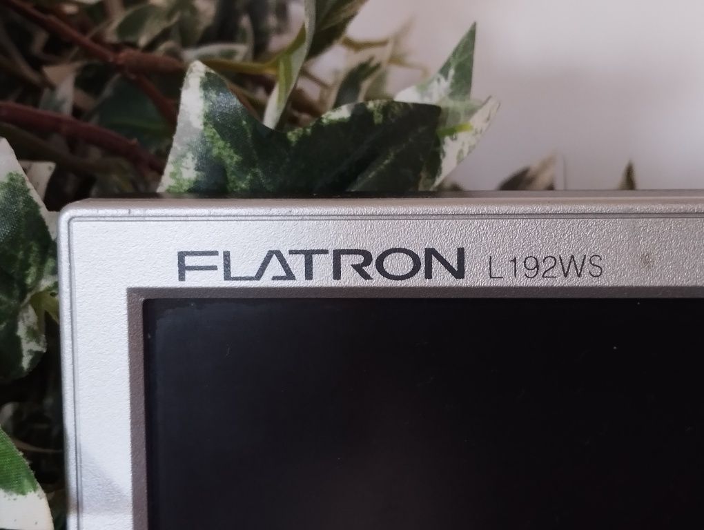 Monitor LG 19' VGA