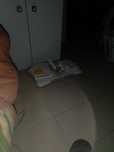Niintendo wii  completo