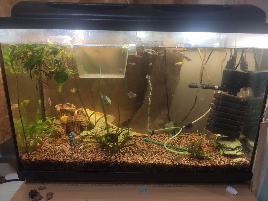 Продам Аквариум СРОЧНО