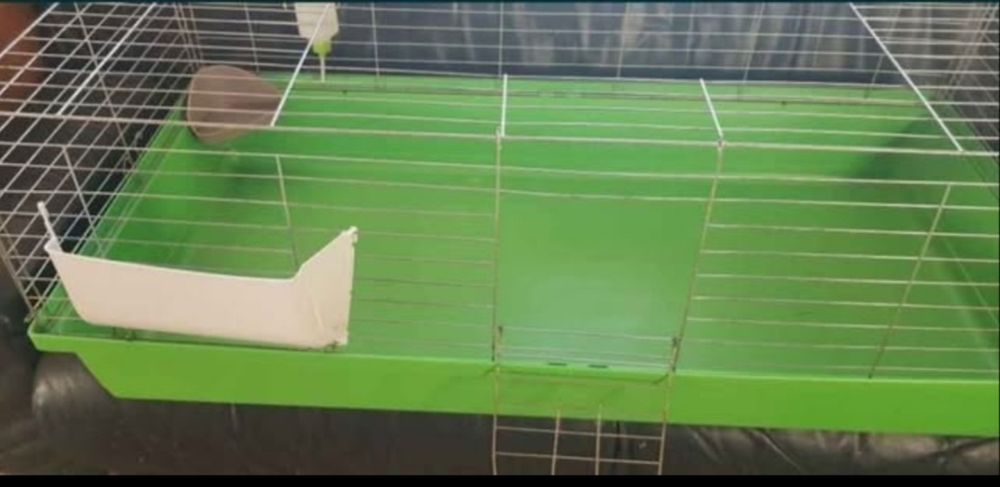 Duża klatka dla królika, świnki morskiej