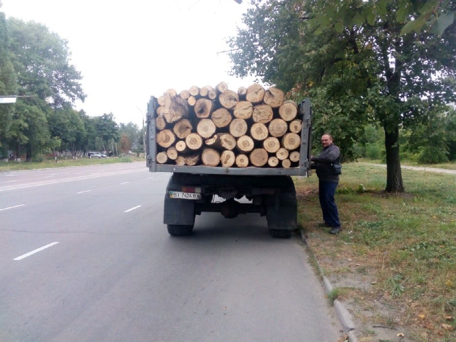 Дрова твердой породы