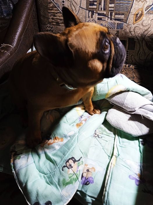 Жилье для одинокой переселенки впо.