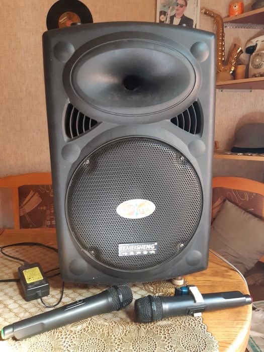 Акустическая системаTemeisheng. Полный фарш. 100ват