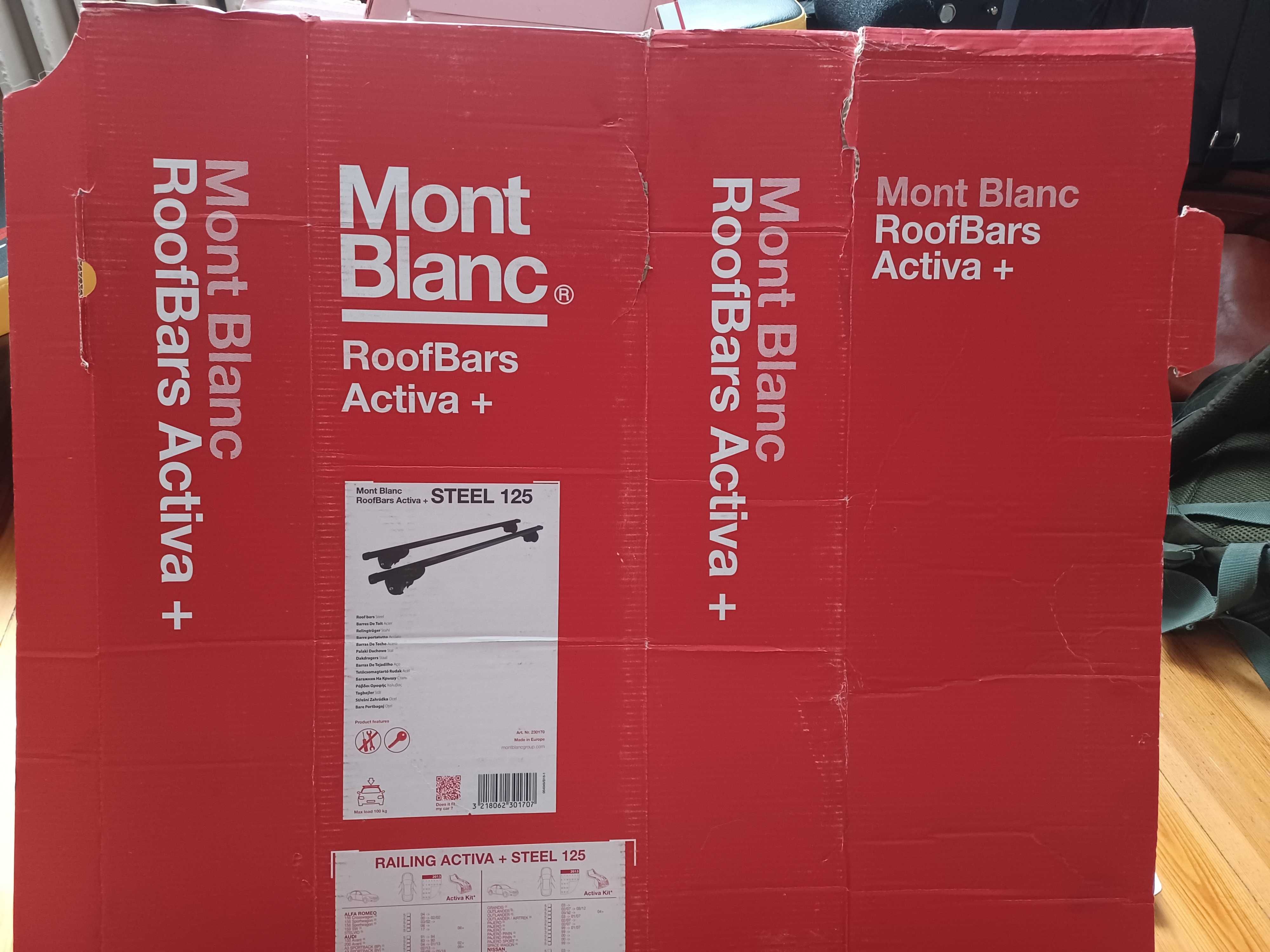 Relingi dachowe Mont Blanc