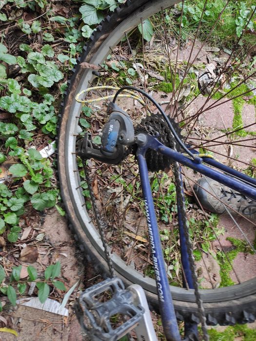 Rower Merida Kalahari 530