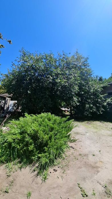 Продам будинок, метро Київська пішки 2 хв., центр,  вул. Матюшенка AN