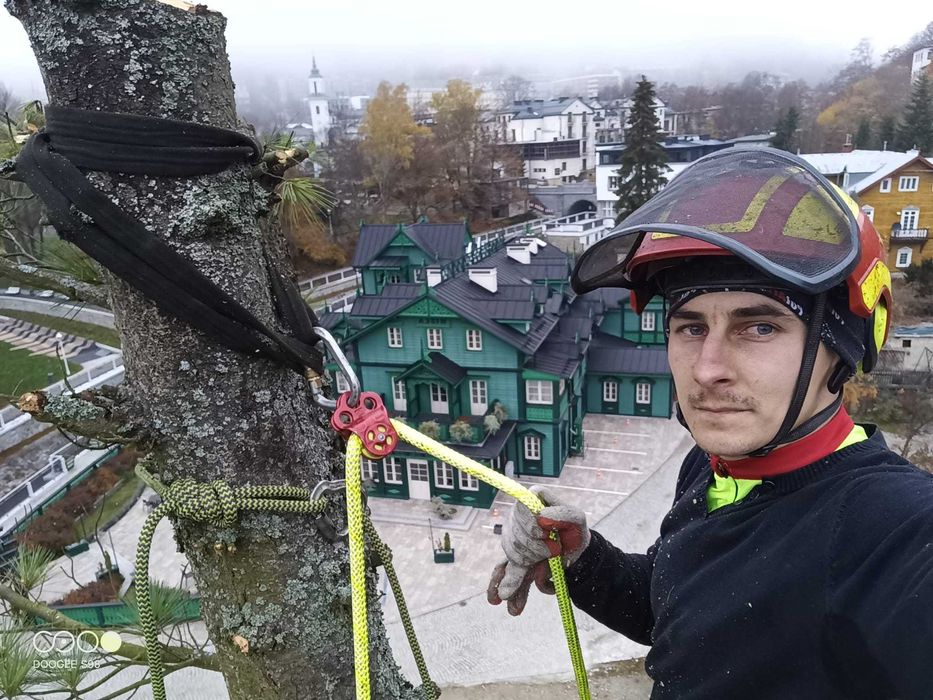 Wycinka drzew, pielęgnacja drzew, czyszczenie działek, usługi rębakiem