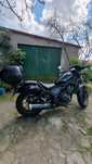 Honda rebel 500 cmx