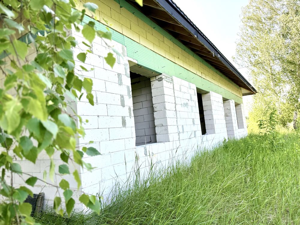 Продам будинок в Дмитрівці
