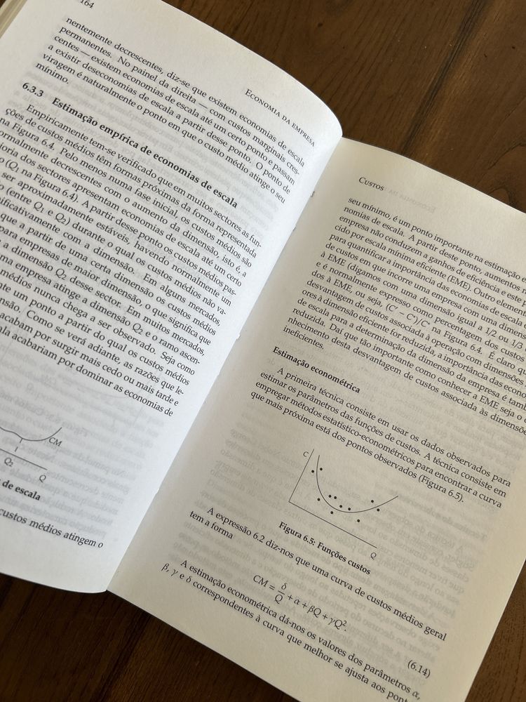 Economia da Empresa - edição revista e aumentada - Jose Mata