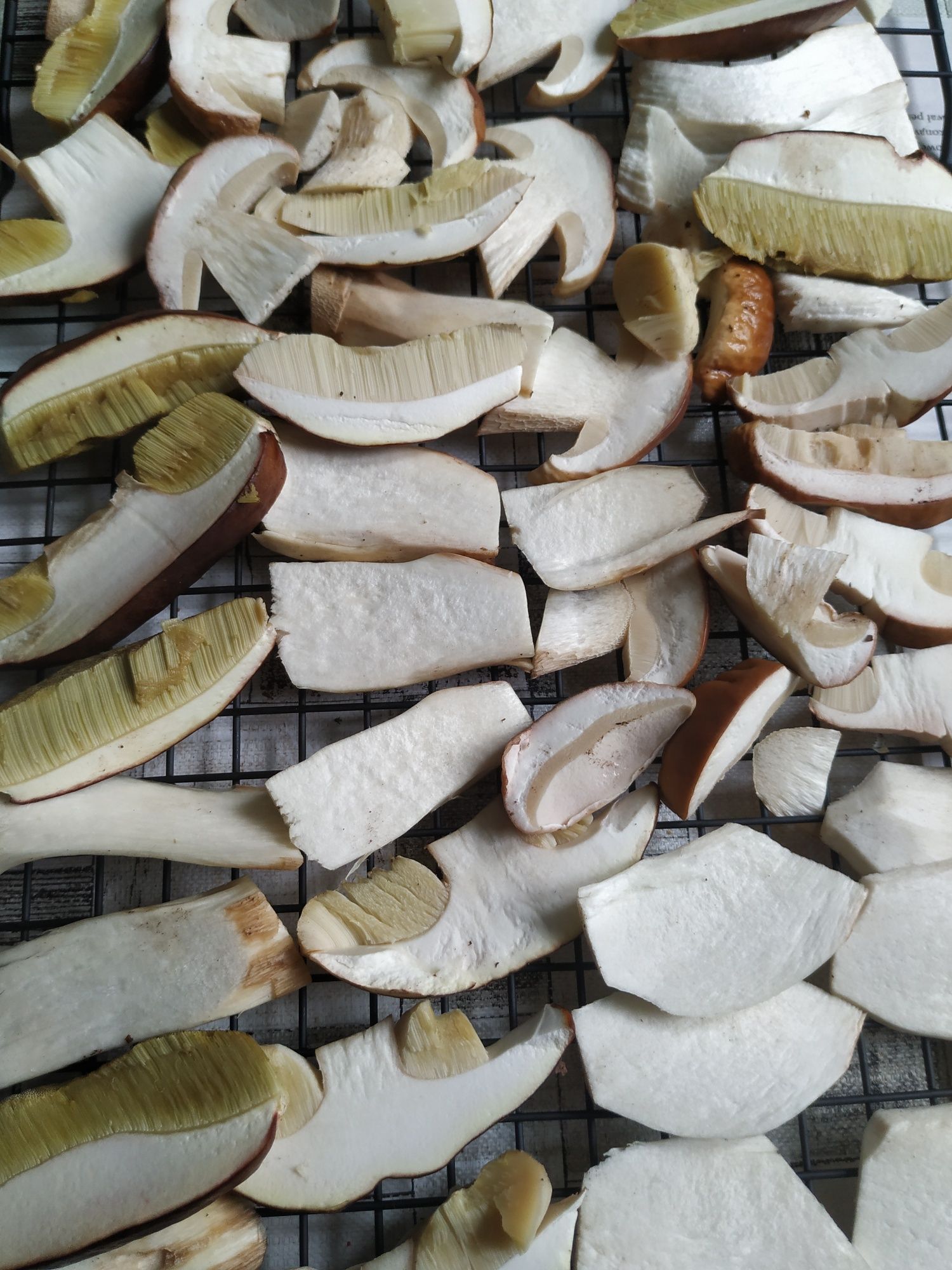 Suszony borowik szlachetny 100g