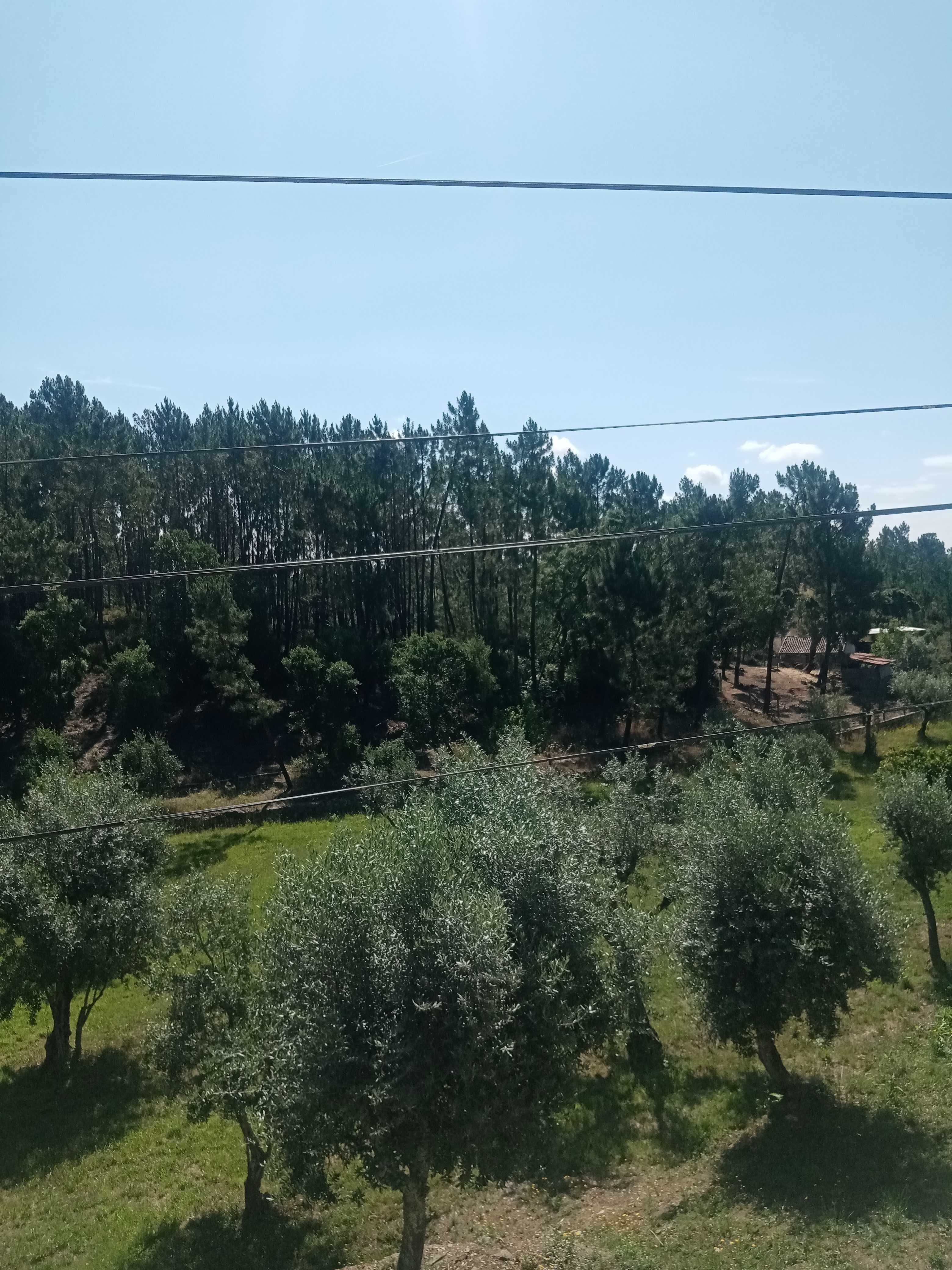 Magnifica Quintinha no Centro da Felgaria Nesperal