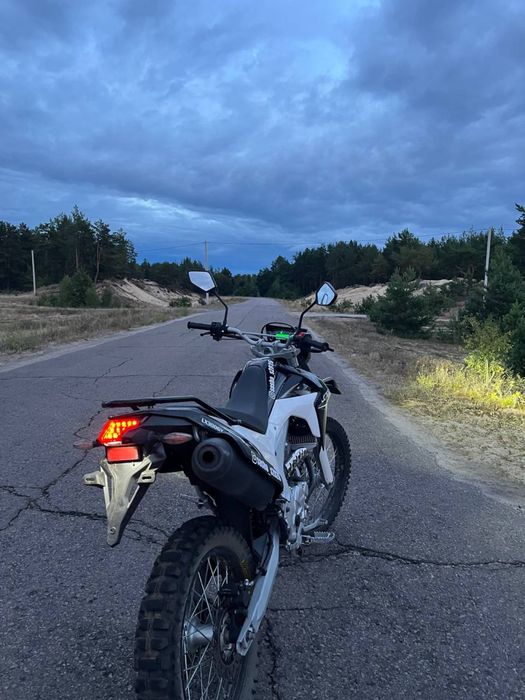 Лось 300 низ ринку