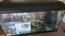 Aquário light glo 112L