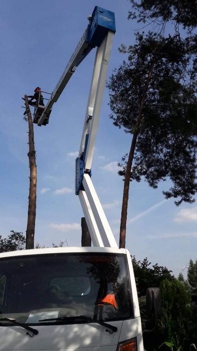 Uslugi Wycinka i piegnacja drzew-rębakowanie czyszczenie  działek