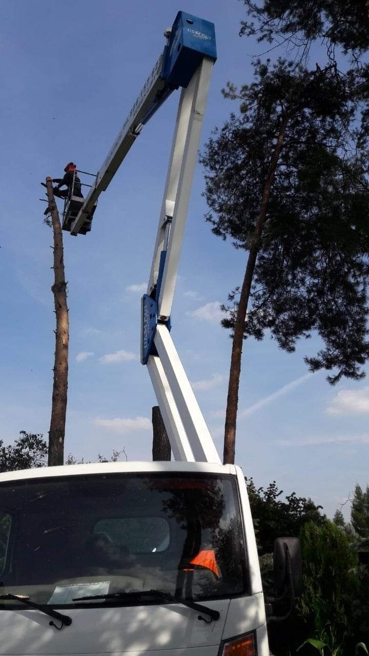 Uslugi Wycinka i piegnacja drzew-rębakowanie czyszczenie  działek