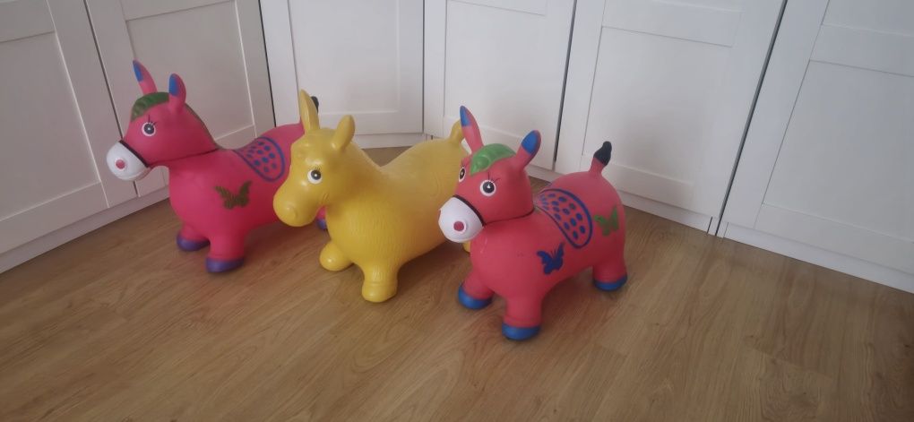 Burrinhos pula pula