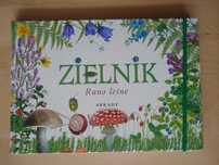 Zielnik. Runo Leśne. - Arkady