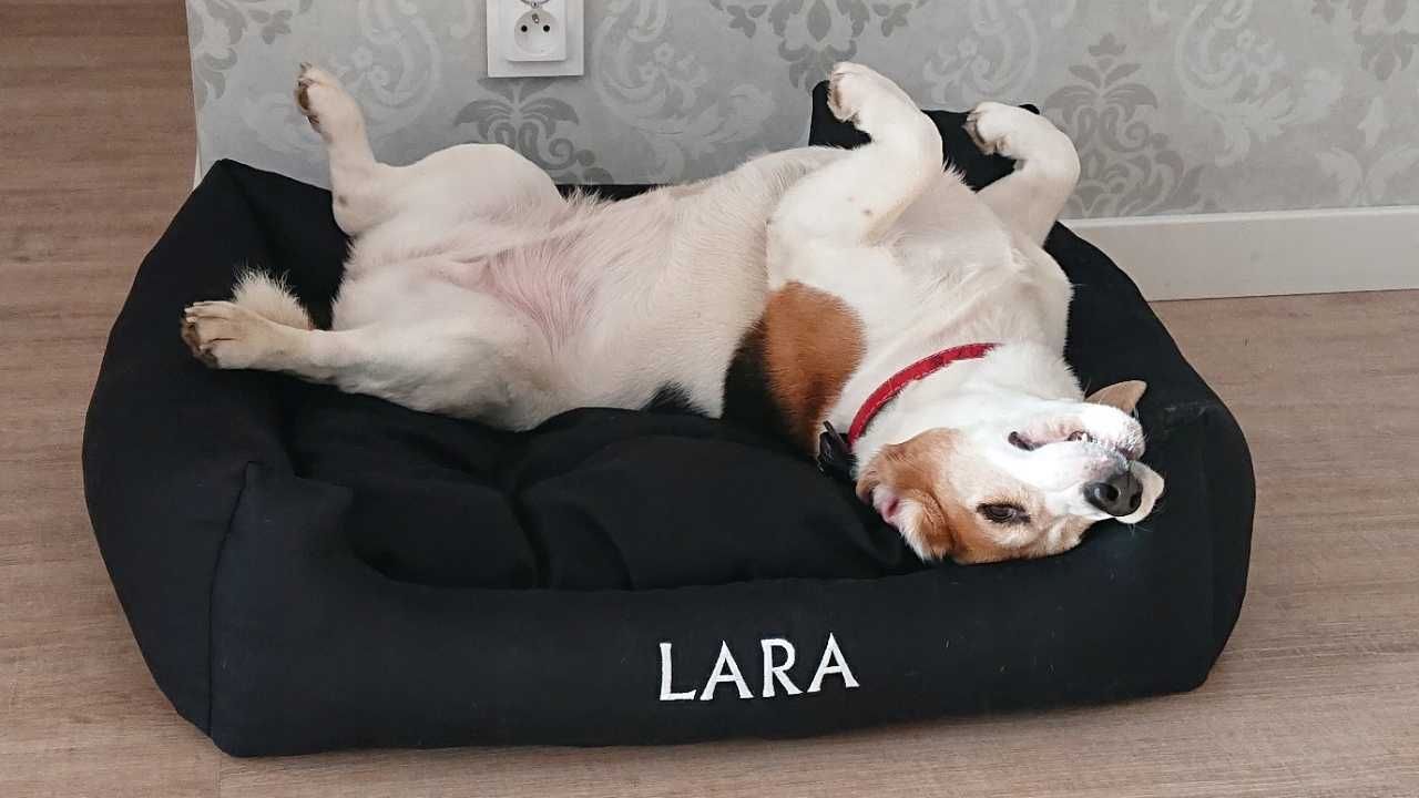 Super komfortowe legowisko kanapa dla psa DUŻEGO I MAŁEGO