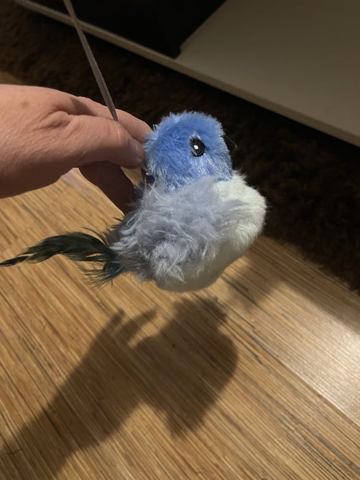 Zabawka interaktywna dla kota