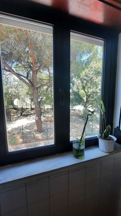 Quarto em Belém com vista