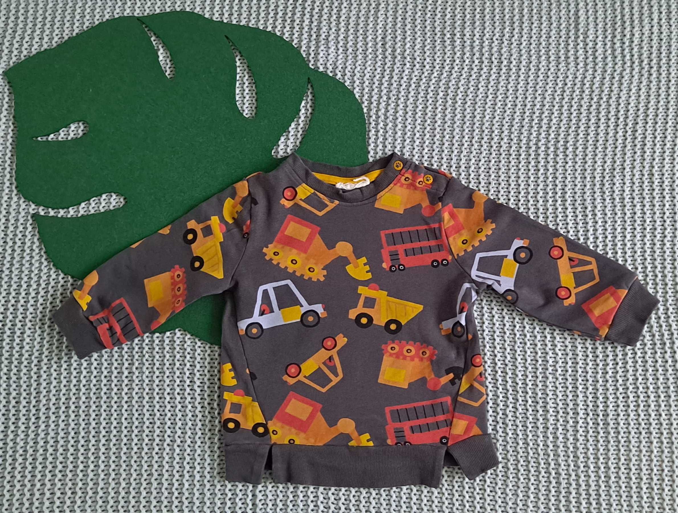 Bluza Coccodrillo rozmiar 74