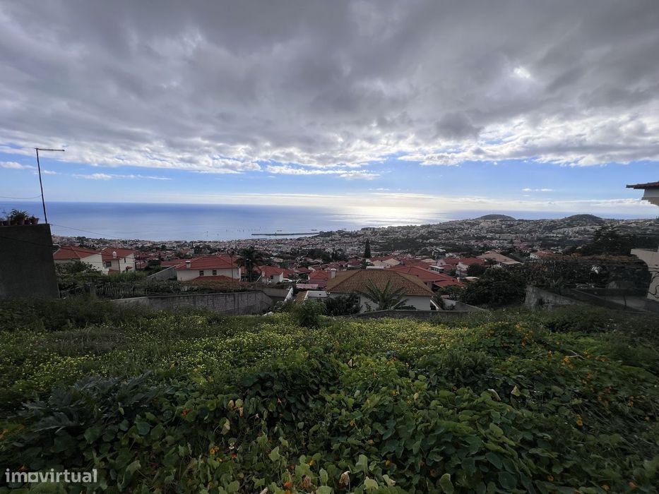 Lote para construção | Livramento | Funchal