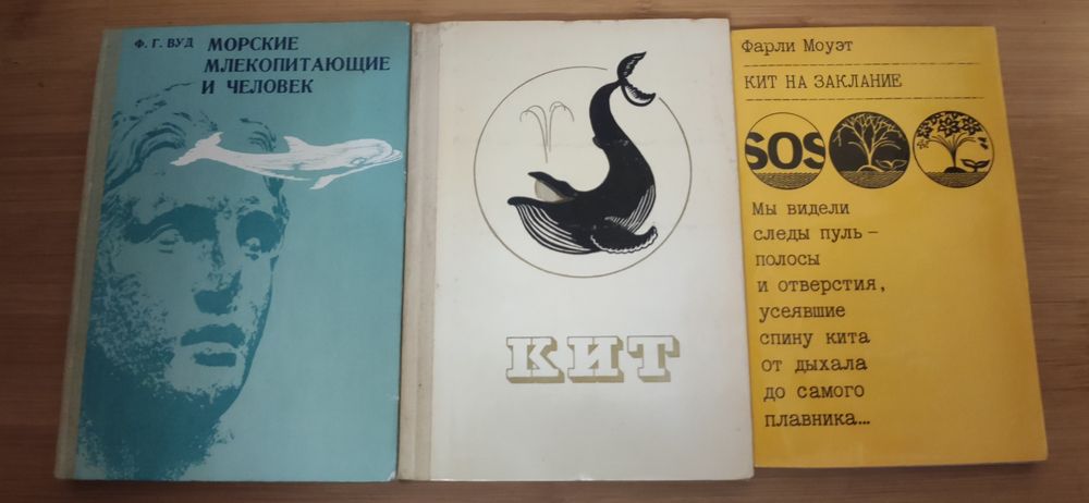 Животные морских глубин