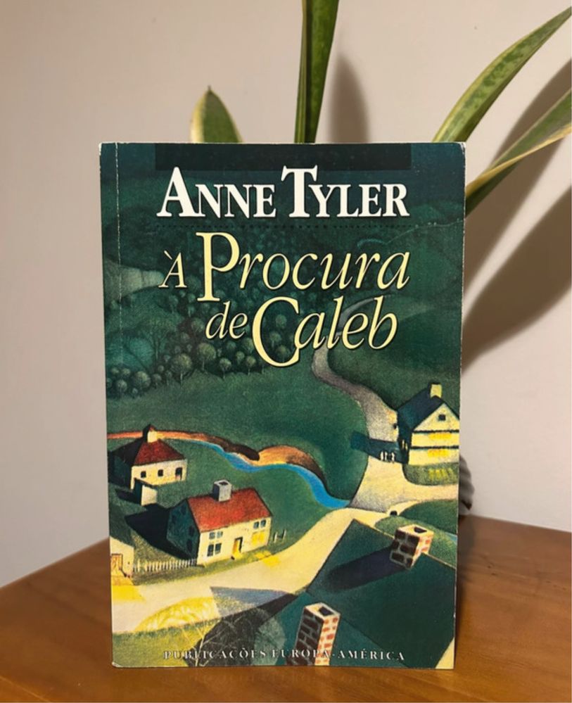 Livro a procura de caleb PORTES INCLUIDOS