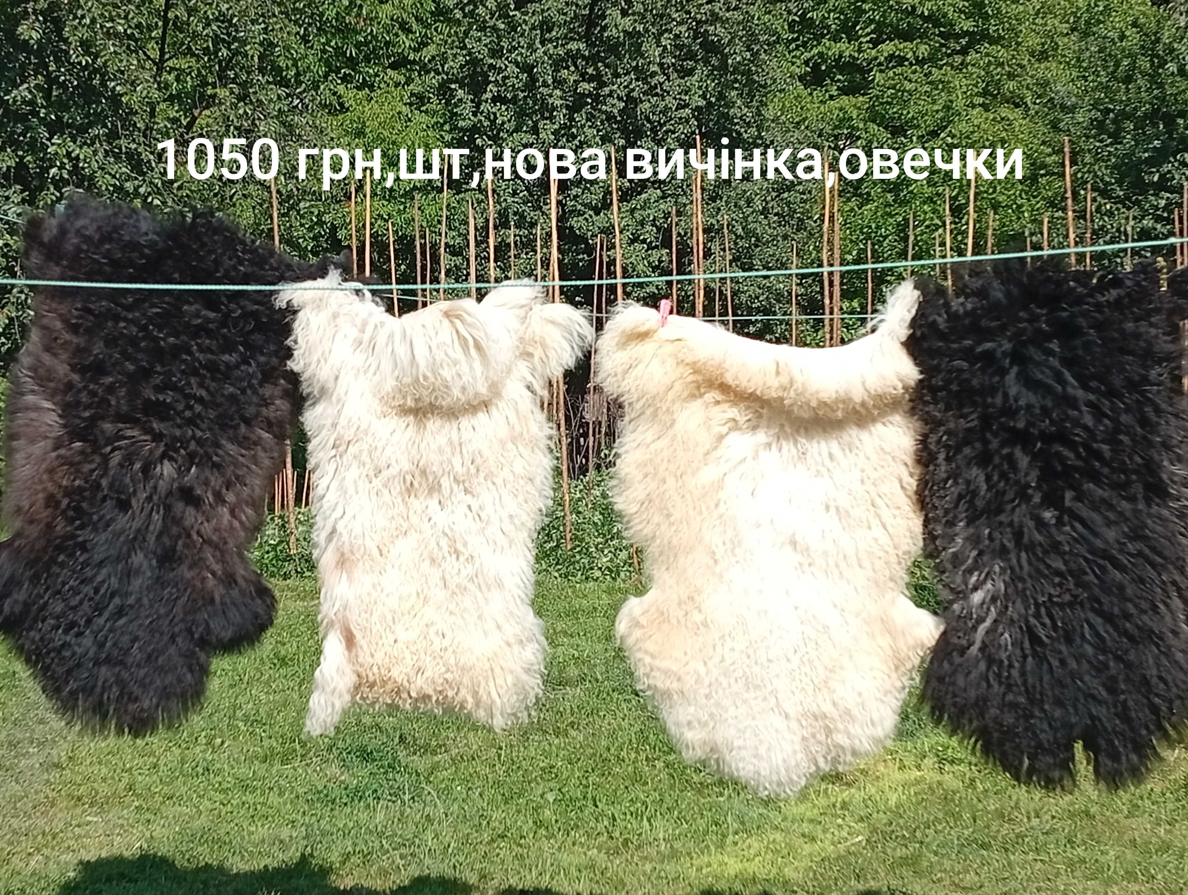 Пухнасті покривала великі і малі,самі робим