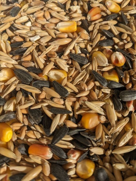 Акция! Универсальный корм для грызунов 1кг=60 грн